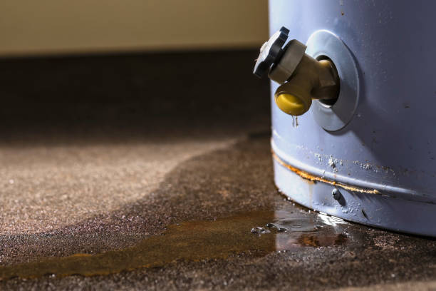 Best Water damage cleanup near me  in Roaming Shores, OH