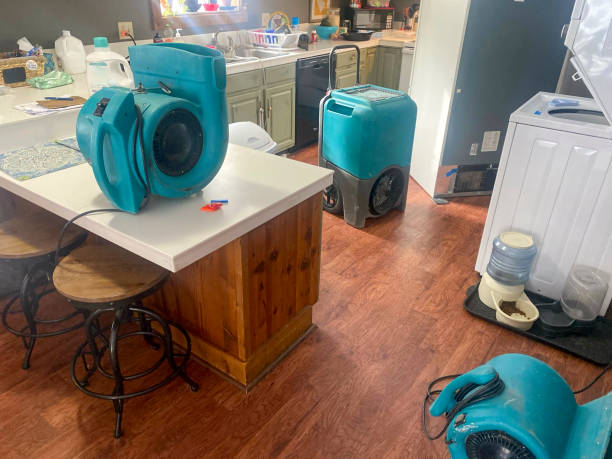 Best 24-hour water damage restoration  in Roaming Shores, OH