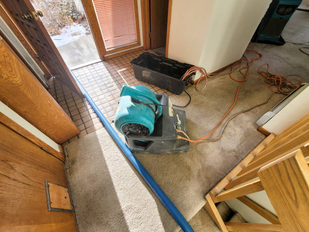 Water damage restoration experts in OH