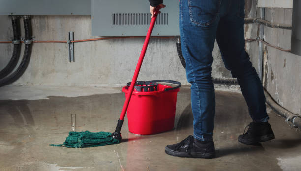 Best Basement water damage restoration  in Roaming Shores, OH