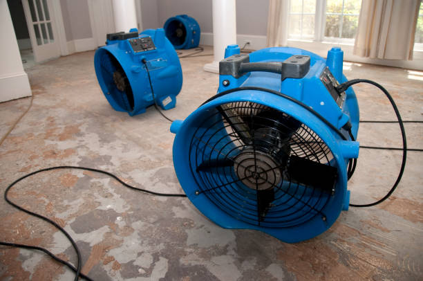 Best Ceiling water damage repair  in Roaming Shores, OH