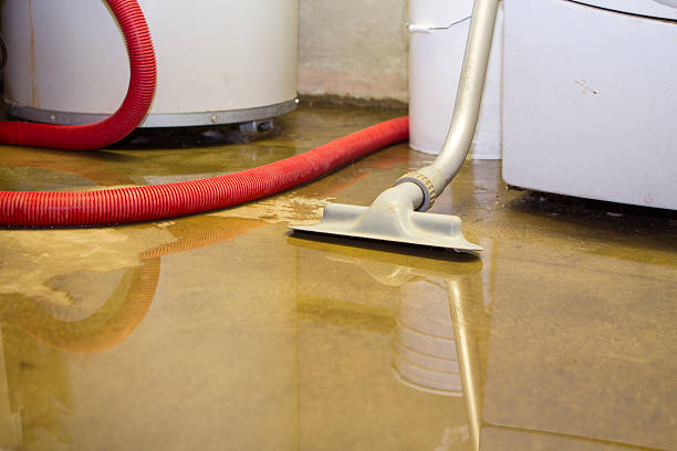 Best Water damage restoration near me  in Roaming Shores, OH