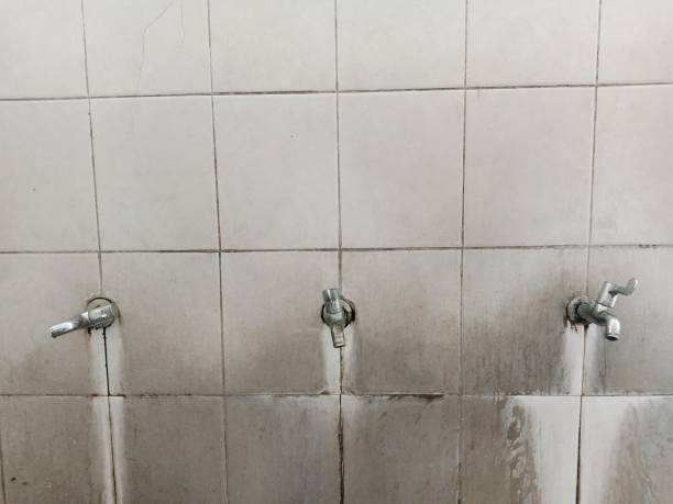 Best Water damage restoration services  in Roaming Shores, OH