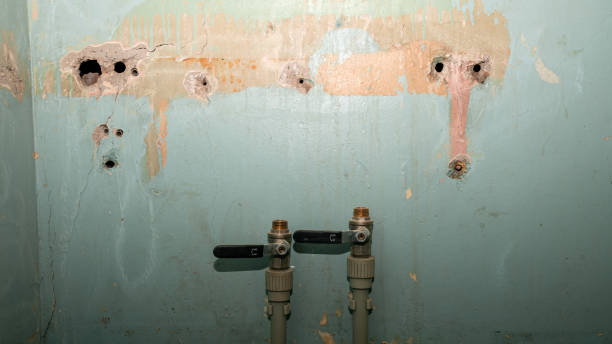 Best Water damage restoration specialists  in Roaming Shores, OH