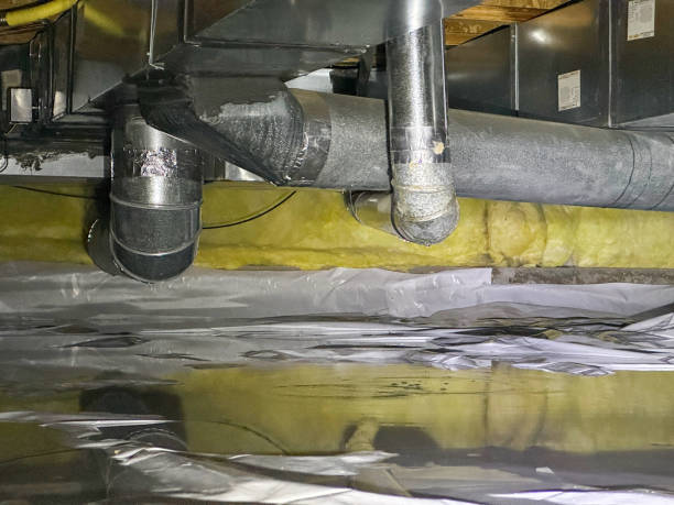 Best Water damage restoration company  in Roaming Shores, OH