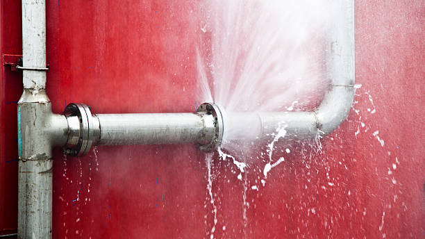 Best Local water damage restoration  in Roaming Shores, OH